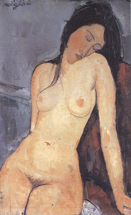 Amedeo Modigliani Seted Nude (mk39) France oil painting art